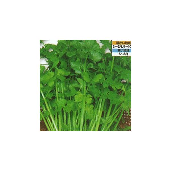 ؂̎ X[vZ 珬 ( ؂̎ )