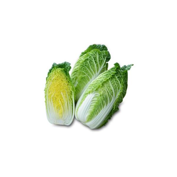 nNTC̎ ~jTO ybg5痱 ( ؂̎ )