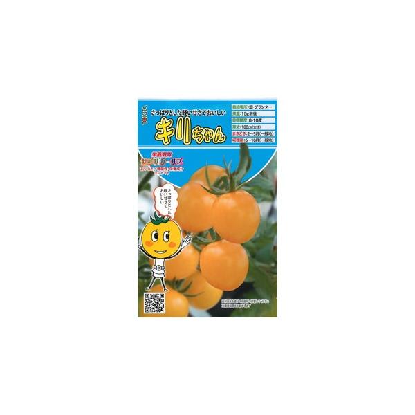 ~jg}g̎ L  8 i   ؎q ؎ j ( ؂̎ )