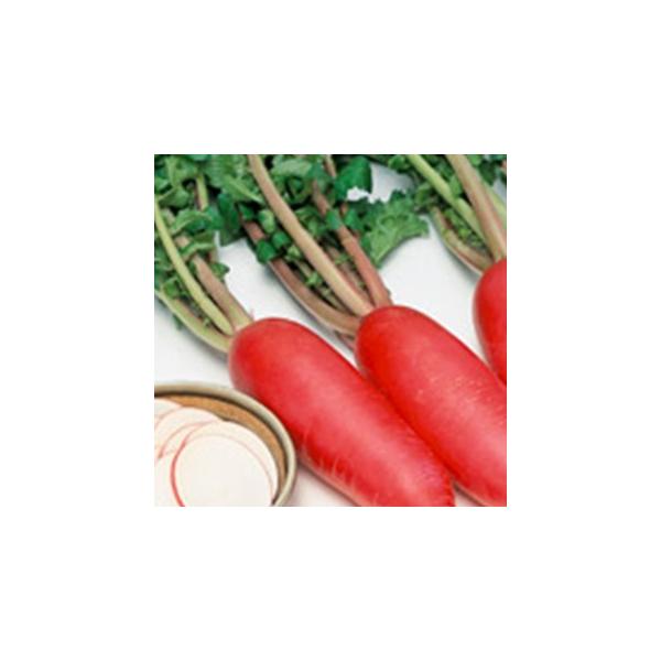 卪̎ g 珬 ( ؂̎ )