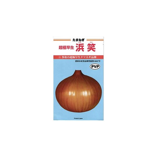 タマネギの種 浜笑（はまえみ） ペレット5千粒（2L） ( 野菜の種