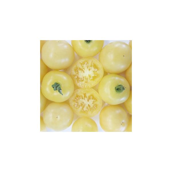 ~jg}g̎ N[CG[ 20 ( ؂̎ )