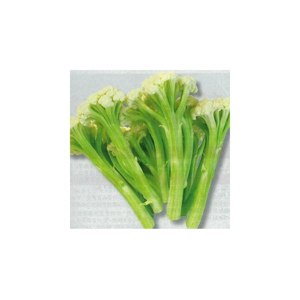 Jt[̎ Jt[70 R[g痱 ( ؂̎ )