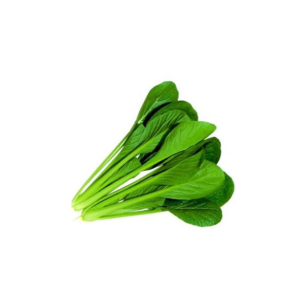 R}ci̎  2dl ( ؂̎ )