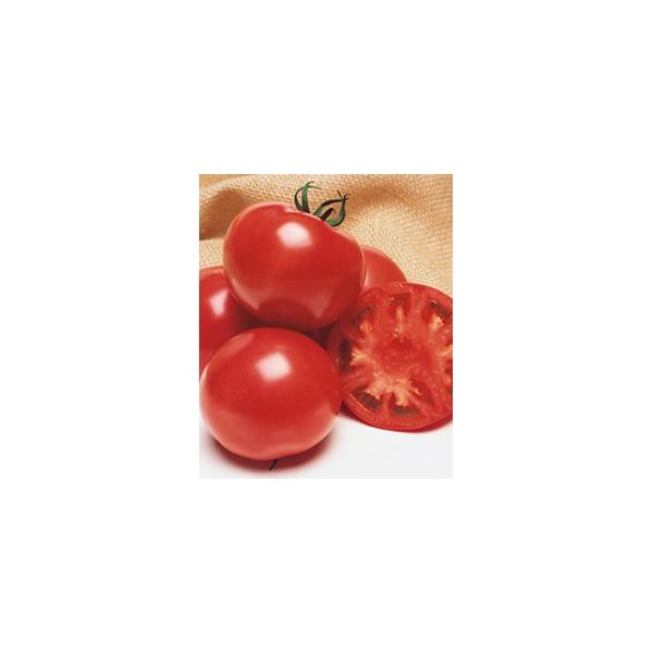 g}g̎ CFYt@Cg DFi16j