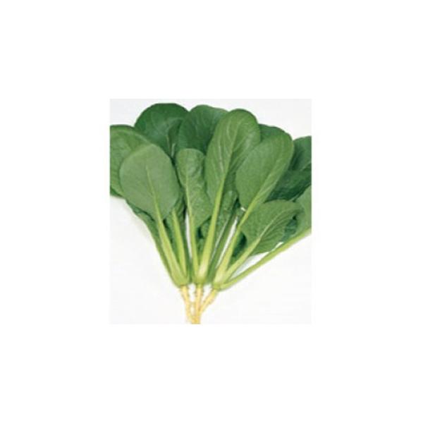 R}ci̎ ݂ 2dl ( ؂̎ )