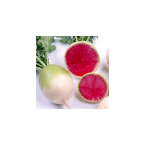 根の直径が7〜8cm、内部の肉色は鮮紅色で美しく、サラダ、浅漬け、おろしに適します。　紅色の成分はポリフェノールの一種「アントシアン」で、抗酸化作用があります。　品種の特性上、内部紅色の発色程度に差が生じます。　内部の発色が強い固体は、ひげ...