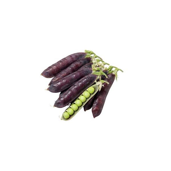 GhE̎ ǂ c^J[̃GhE@1 ia_j