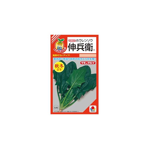 ق񑐂̎ Lq (RF 40ml)