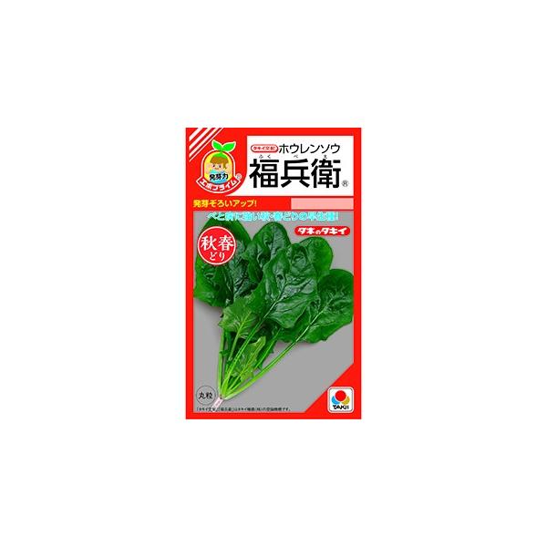 ق񑐂̎ q RF (45ml G{vCqj ( ؂̎ )