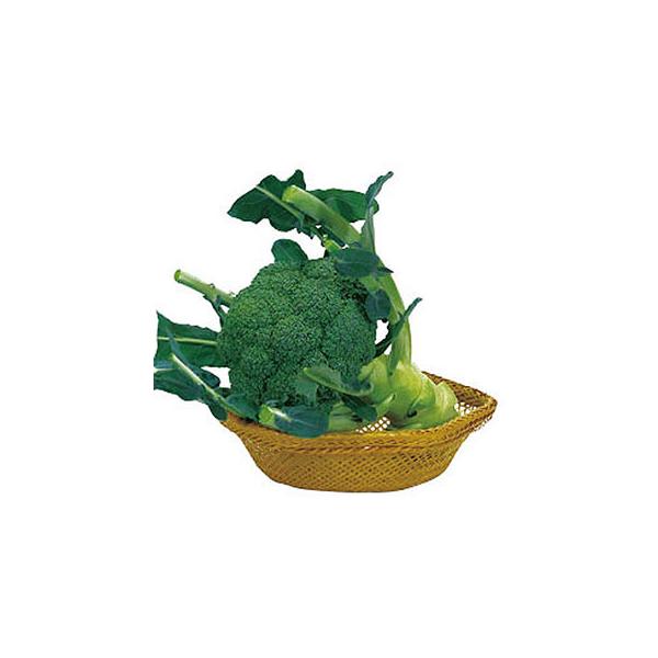 サミット ブロッコリー種子 【公式通販】