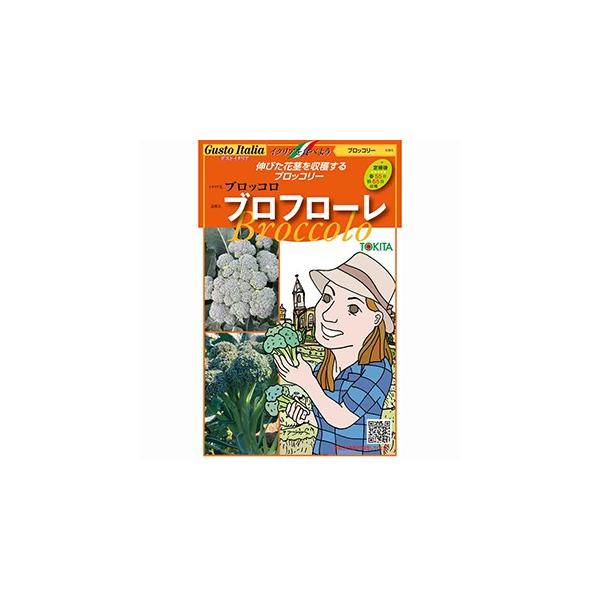 ubR[̎ ut[i65^Cvj ybg痱 ( ؂̎ )