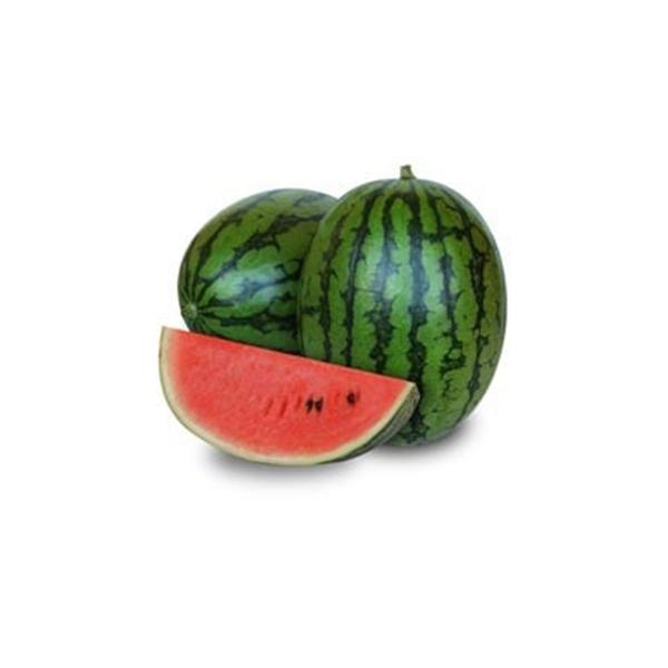 1．つるは細め、葉は切れ込みの深い中大葉で、低温伸長性に優れ、雌花の着生、雄花の花粉発生も良く着果が安定します。　　2．果実は2〜2.5kgの長楕円形で果皮の緑色が濃く、中太の縞とのコントラストが鮮明な見栄えのする外観です。　　3．果肉は濃...