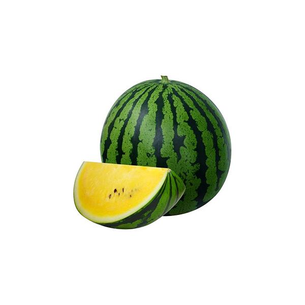 1．糖度は12度以上に安定　2．玉伸び・玉揃いよく、8kg以上になる　3．果肉は明るい黄橙色で適度な締まり・シャリ感がある　4．低温伸長性があり、花粉の発生も良い為、着果が安定している