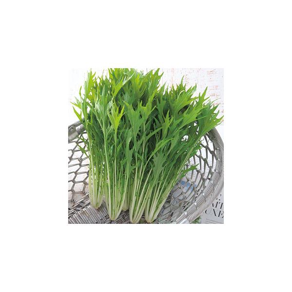 水菜の種 都むすめ ペレット5千粒