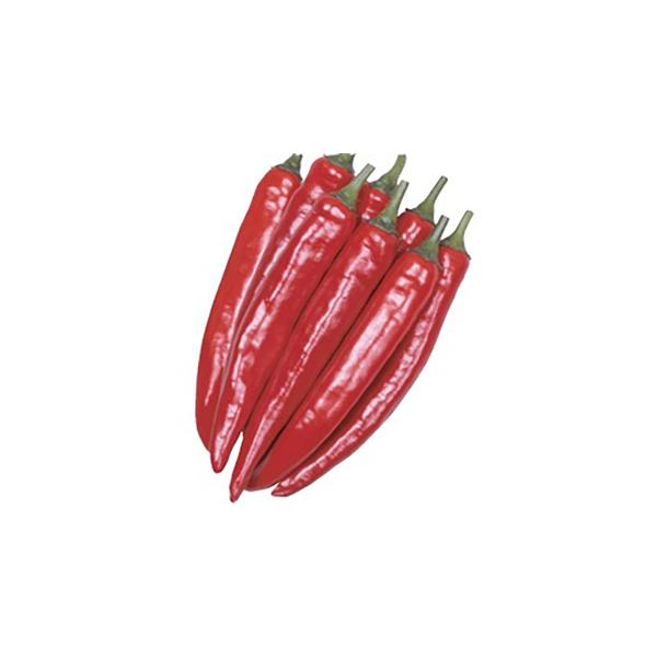 【特性】　・パプリカ風味と、とうがらしの辛味を併せ持った肉厚のとうがらしです。　・果長は14〜20cm位、果径は2〜2.5cm位です。　・青果でとれば辛味少ない。20cm程度で収穫する。