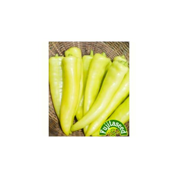 【栽培方法】一般のトウガラシと同じように栽培します。発芽・生育は、やや時間がかかります。夜間の温度管理に注意し育苗してください。【利用方法】艶やかな黄色のとても辛いトウガラシです。実の長さ約15ｃｍ。サラダやソース、ピクルスなど料理の辛み付...