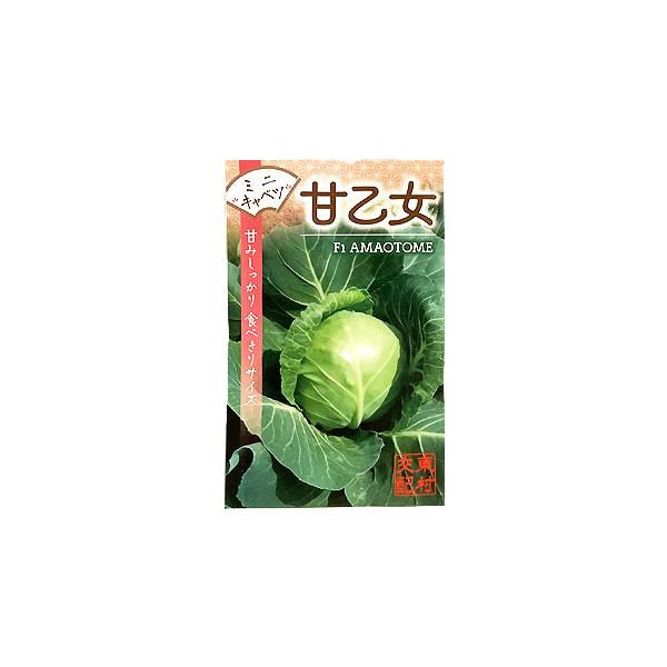甘味があり色鮮やかな500ｇ前後ミニキャベツです。一食使い切りも便利な大きさです。生でも、炒めてもおいしく食べられます。定植後50〜60日で収穫になる極早生タイプです。株間30cmの密集栽培も出来ます。耐暑性があるため、夏場の栽培・収穫も可...