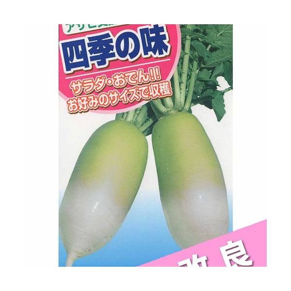 春まき・夏まき・秋まきが可能で、播種・収穫適期が広く家庭菜園にも最適！極晩抽性で低温期での肥大性が良く、冬の栽培も安心です。ス入りも非常に少ないので栽培しやすいと好評です。■容量は季節により変更となる場合がございますが、価格に変更はございま...