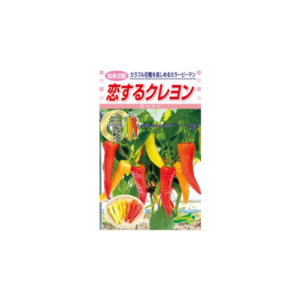 【特徴】果実色が淡黄緑色から橙色をへて赤色へと美しく変化する長クサビ形カラ―ピーマン。果重は50ｇ程度で、果形は長さ15ｃｍ、幅4ｃｍによく揃い、どの色でも収穫可能。熟期は早生。草姿は開性で草丈は中短。草勢が強く、耐暑性があり、着果性がよい...
