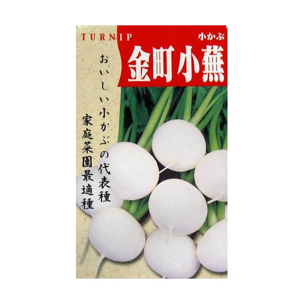 カブの種 金町小蕪 8ml 野菜の種 :2240367:菜園くらぶ !店 通販 小カブ 種 たね 金町小かぶ 1袋(10ml) 蕪 野菜たね YTC30
