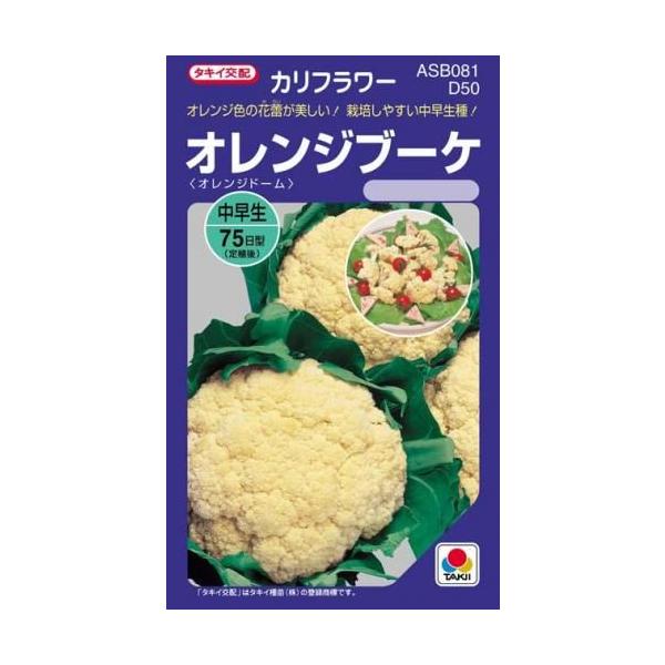 Jt[̎ IWu[P (DF 0.9ml)