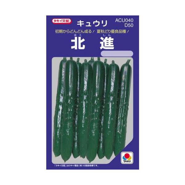 ���イ��̎� �k�i ����(DF 22��)