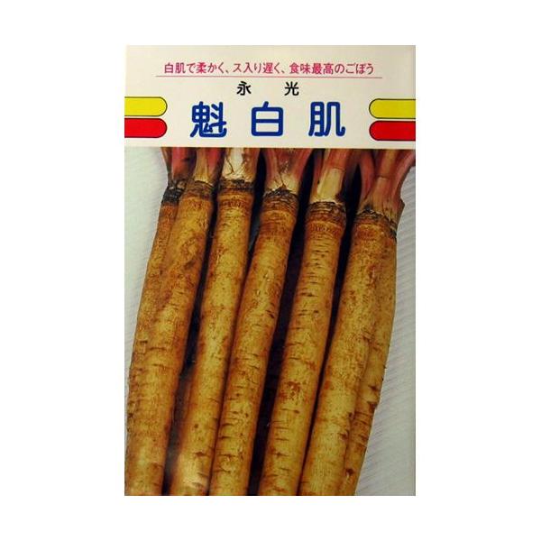 S{E̎ ATq@  10ml ( ؂̎ )