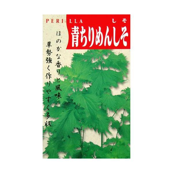 種 しその人気商品 通販 価格比較 価格 Com