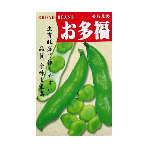  (\}̎)  40ml ( ؂̎ )