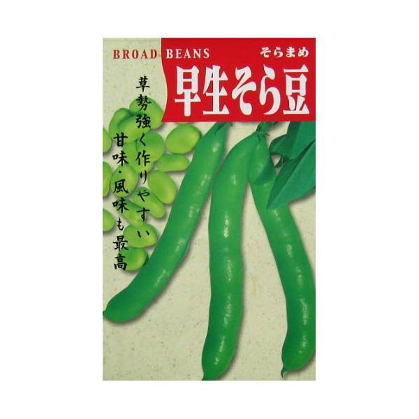 瓤 (\}̎)  70ml ( ؂̎ )