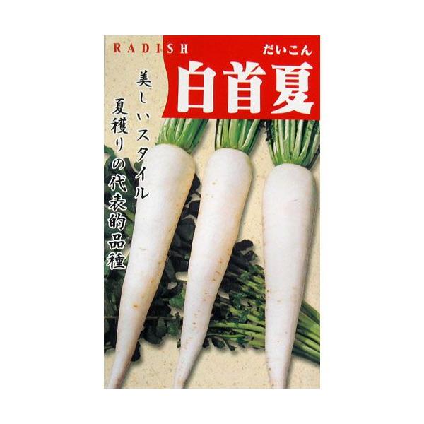 卪̎ đ卪  10ml ( ؂̎ )