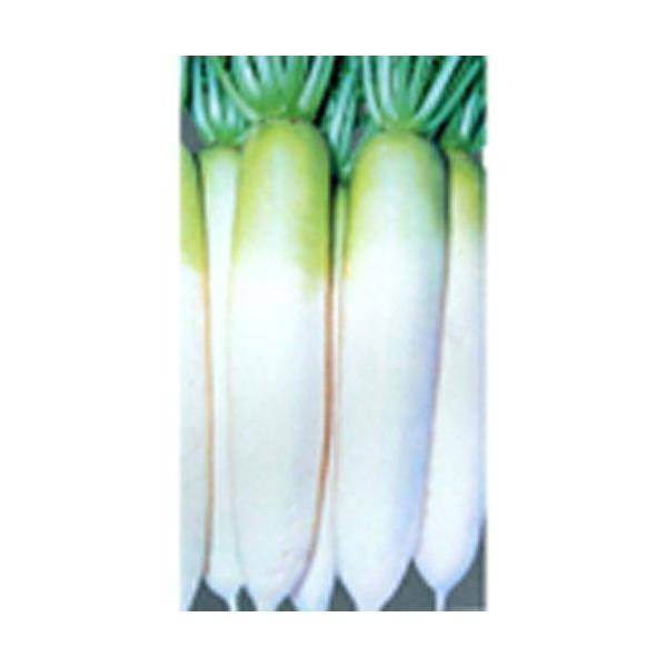 卪̎ ϕa 2dl ( ؂̎ )