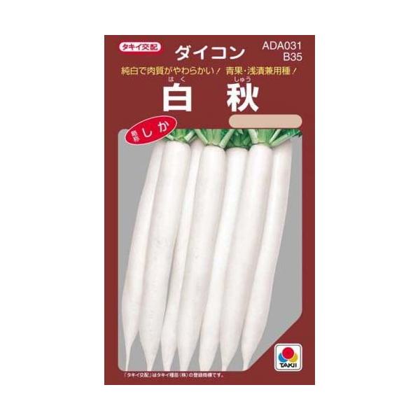 卪̎ H RF 10ml ( ؂̎ )