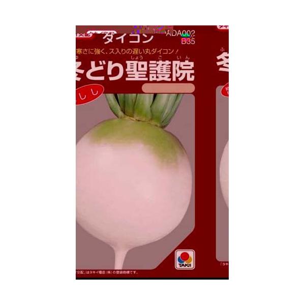 卪̎ ~ǂ萹@ i10mlj ( ؂̎ )