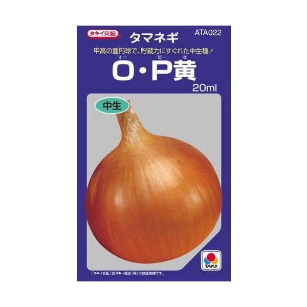 パンプキンイエローの玉ねぎ MoonStar アンパンマン ばいきんまん ドキンちゃん めいけん