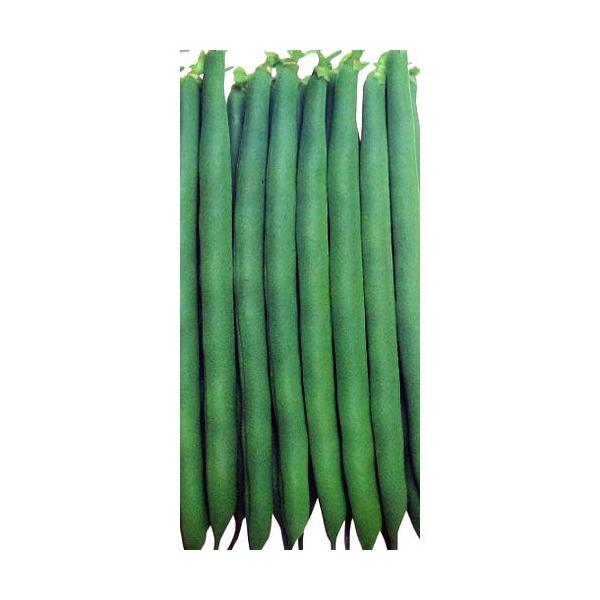 ȂCQ̎ ݂ǂ2 1dl ( ؂̎ )