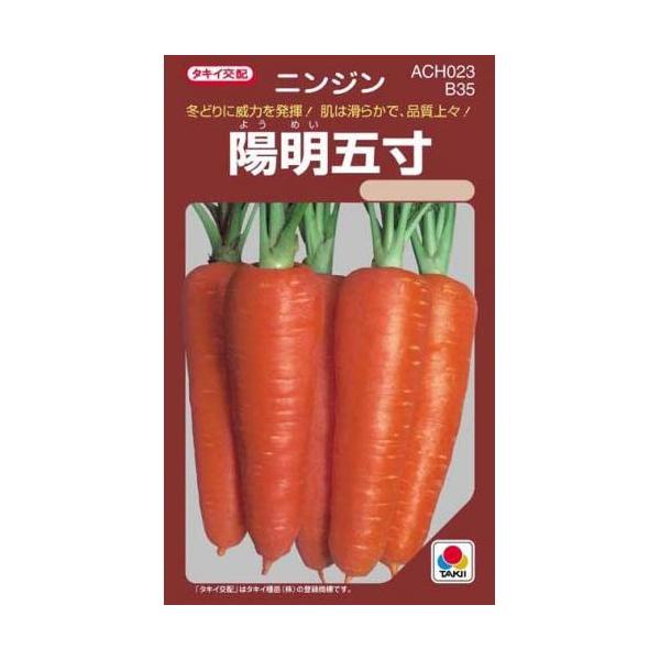 �j���W���̎� �z���ܐ� ����(RF 7ml)