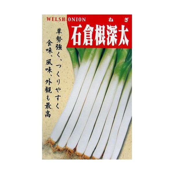 lM̎ lM̎ Αq[  ( ؂̎ )