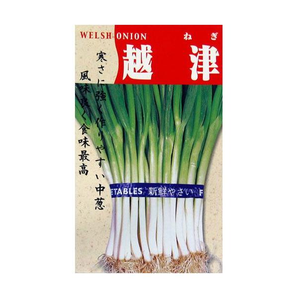 lM̎ lM̎ zÒK  ( ؂̎ )