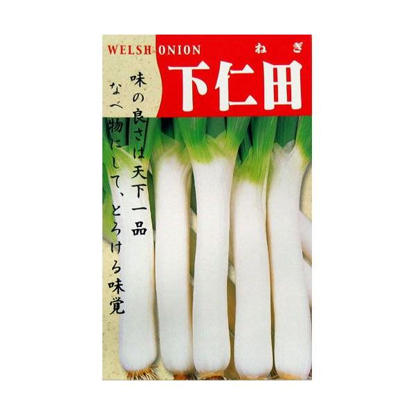 lM̎ mc  (8ml) ( ؂̎ )