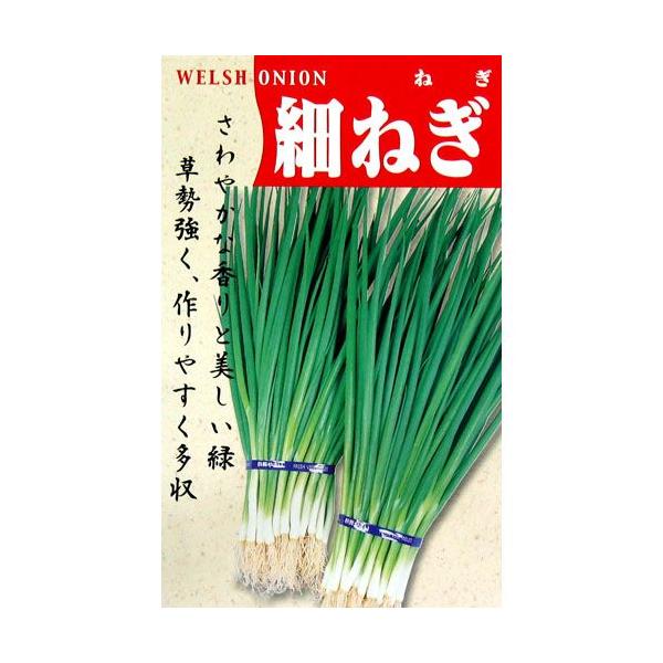 lM̎ lM̎ ׂ˂ 15ml ( ؂̎ )