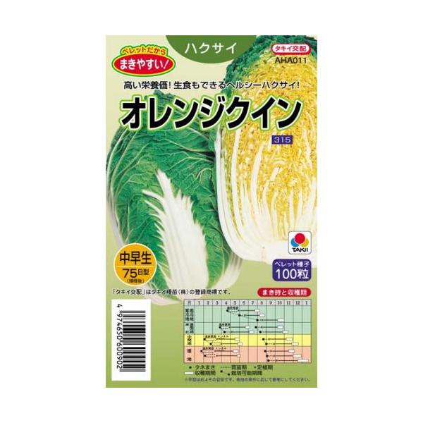 外観は一般の白菜と変わらないが、結球内部の色が鮮やかな橙黄色で、栄養価にすぐれ、ヘルシー度は抜群。草姿は中開性で株張りは中程度。要素欠乏の懸念は少ない。適期まきでは播種後75日前後で2.5kg、日をおけば3.0kg以上に太る中早生種。歯切れ...
