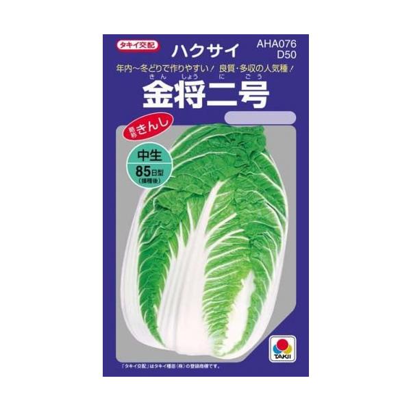 白菜の種 金将二号 ＤＦ 2.5ml ( 野菜の種 )
