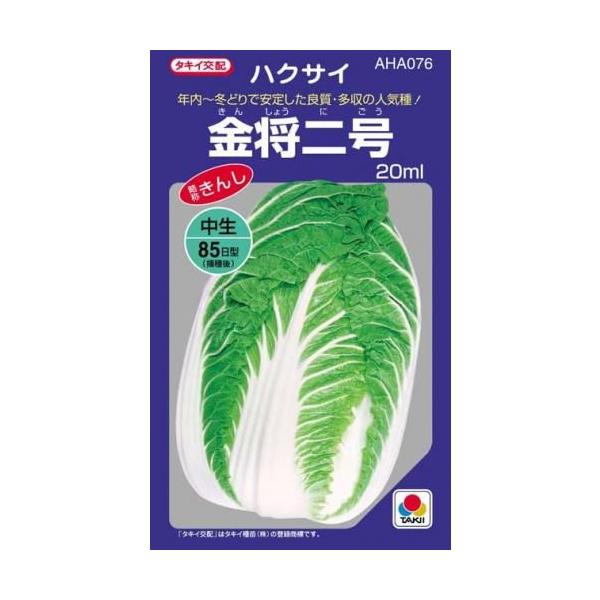 金将二号 (白菜の種) 小袋 約20ml ( 野菜の種 )