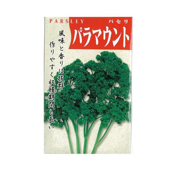 パセリの種 パラマウント 小袋
