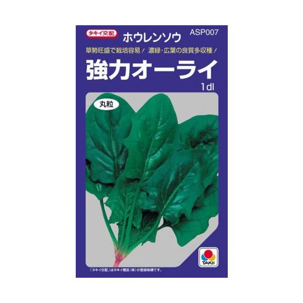 ق񑐂̎ ̓I[C 1dl ( ؂̎ )