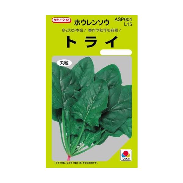 ق񑐂̎ gC le 25ml ( ؂̎ )