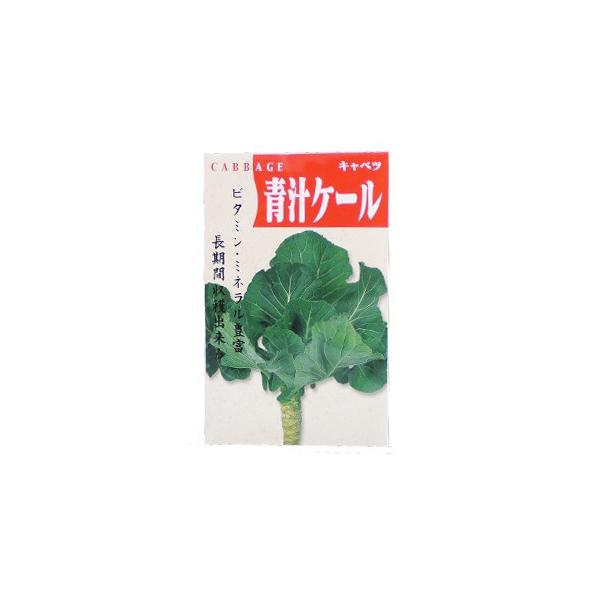 `P[ (P[̎)  4ml ( ؂̎ )