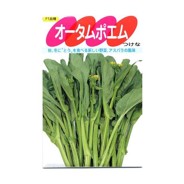 I[^|G (Eݍ؂̎)  2ml ( ؂̎ )